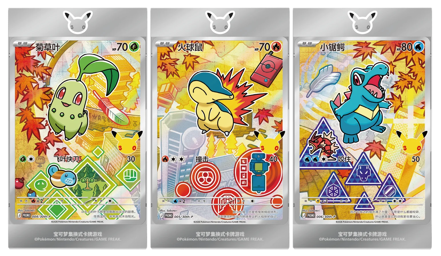 Johto-Promos im magnetischen Acryl-Rahmen aufgestellt